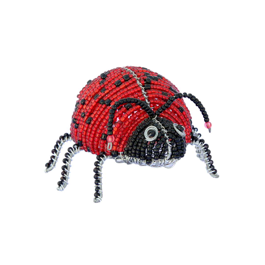 Ladybug Extol Accessories