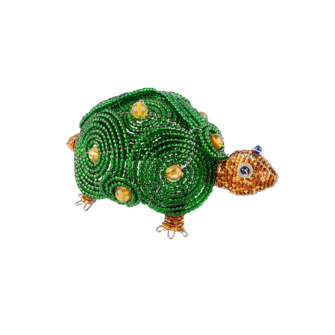 Turtle Extol Accessories