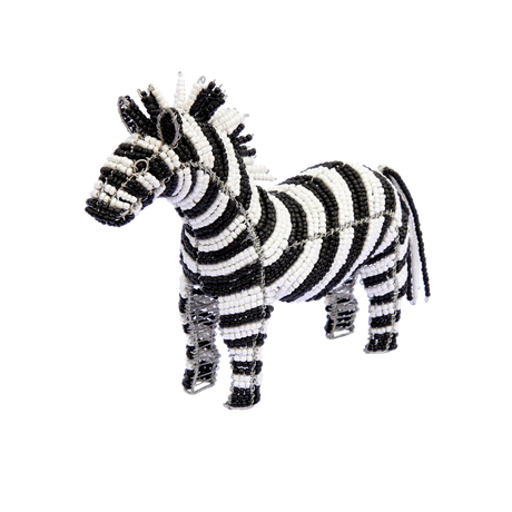 Zebra Extol Accessories