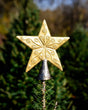 Gold Embossed Star Tree Topper Extol Accessories