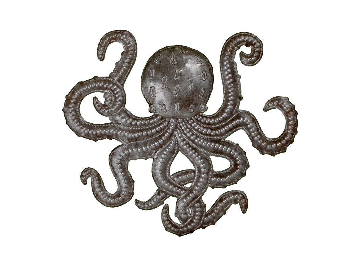 Octopus Magic Extol Accessories