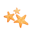 Painted Sea Stars Extol Accessories